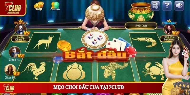 Mẹo chơi bầu cua tại 7CLUB