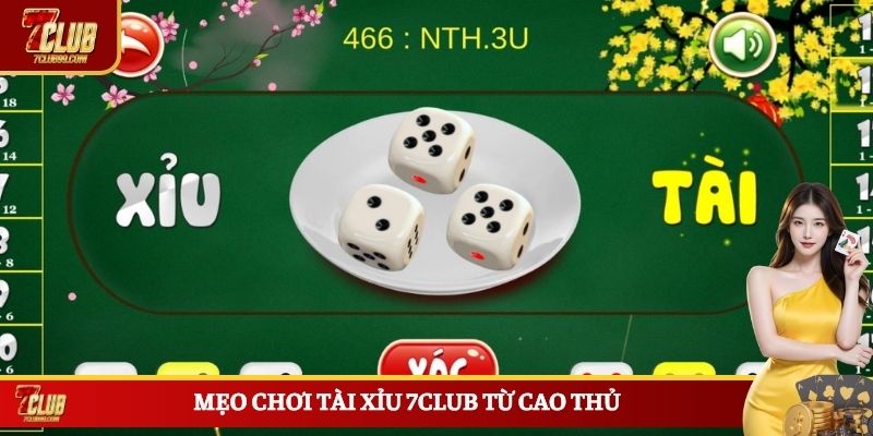 Mẹo chơi tài xỉu 7CLUB từ cao thủ